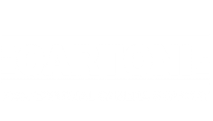 Cartoni