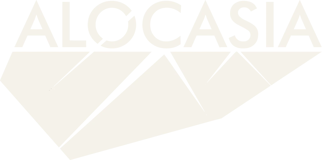 Alocasia